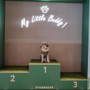 도그엔젤 | [강아지 패딩 추천] 엔젤도그 개따뜨텍 롱패딩&amp;숏패딩, 엔젤도그 패딩, 바잇미 패딩, 멀로 아인푸퍼...