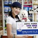 마스터입시교육학원 이미지