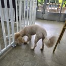 뽀독뽀독 이미지