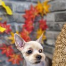 오도독뽀도독 이미지