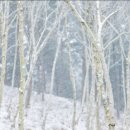 산현리 경로당 네이버블로그