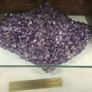 신기 1 신기1구경로당 | [오스트리아 비엔나 봄 여행| 비엔나 1구&amp;13구 여행-②] 슈니첼, 쇤부른궁, 자연사박물관 보석들, 대한...