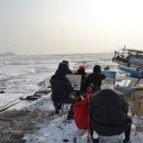 금란초교 이미지