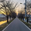 충주천제방길 네이버블로그