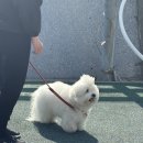 더 투어플레이스
