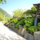 정선 자연속으로 펜션 이미지