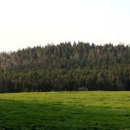 치악목장 이미지