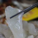 수산회집
