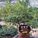 신효동-4 이미지