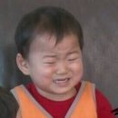 샐러드류 Daum카페
