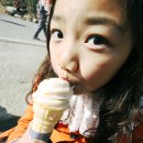 꽃보다아이스크림
