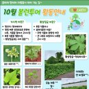 평택시 자원봉사센터 | 평택 내리 문화공원 생태교란식물 가시박, 환삼덩굴 제초 자원봉사 다녀왔습니다.