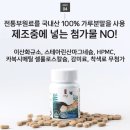 면역충전소 향라이 | 여성 면역력 증진 면역충전소 향라이 영양제