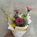 보태니컬 플랜(Botanical Plan) 이미지