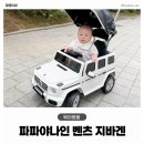 첫차 | 파파야나인 벤츠 지바겐 푸쉬카, 8개월 아기 첫차 내돈내산 후기