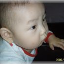예담가