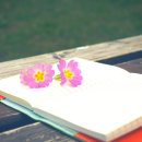 수청한라비발디공인중개사사무소 이미지