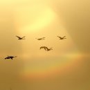 갤러리천수만 이미지