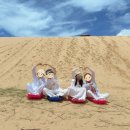 2026.05 비오비투어 나트랑 신혼여행 후기｜판랑사막투어·양떼목장·쏨모이가든까지 알찼던 하루 - 2일차