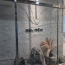 지축1로 이미지