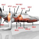 적성태권도장 이미지