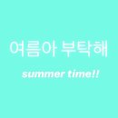 비비드봉 이미지