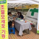 세포보건진료소 이미지