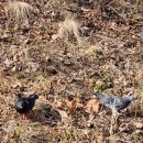 더케이호텔서울 이미지