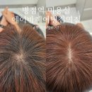 에이바헤어병점역점 | 병점역 미용실 뿌리염색 고민 끝!! 에이바헤어병점역점 정원디자이너 만족 후기