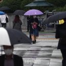 80년 만의 폭우 서울 물폭탄 강남 피해 커 이미지