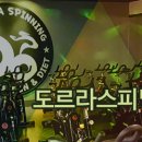 도르라핏 Daum카페