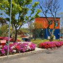 봄바스 민박 이미지