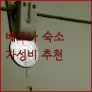 리온호텔 | 호텔 리온 도로 후기 베로나 여행 가성비 숙소 추천