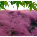 정읍사공원 이미지