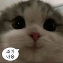 [시민제안강의] 대구시 어디까지 가봤니 | [프랑스 교환학생] 명지대 교환학생 준비 - 지원하기