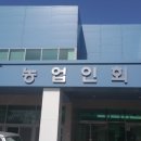 영천농업인장터 네이버블로그