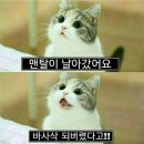 플레이버 - 안성시 만세로 1136 | [서울/성동구] 서울숲 데이트 맛집 퓨전 중식 "플레이버타운" 솔직후기