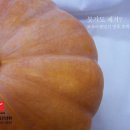 다이어트웰빙하우스 이미지