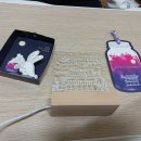 레브쥬르 이미지