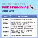 [핑크프리다이빙] 아이다 유스 어린이 / 키즈 / 주니어 생존수영 잠수 만 6세이상 {동반등록 할인}