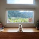 바테펜션 이미지