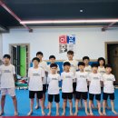 푸르른 태권도장 이미지