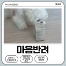 연두 동물병원 | 마음반려 강아지영양제 강아지눈영양제 솔직후기｜눈물자국 고민 해결템