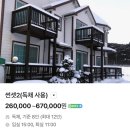 솔숲하우스 네이버블로그