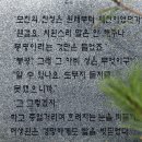 메밀꽃 필 무렵 코스 이미지