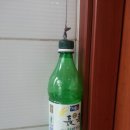 청어진동태찜 이미지