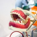 빛고을치과의원 이미지