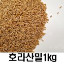 밥보 - 서초구 | 밥보