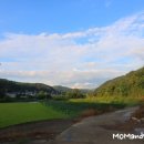 행복한 산책 이미지