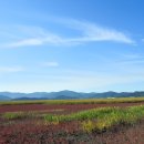 남도삼백리길(1코스) 이미지